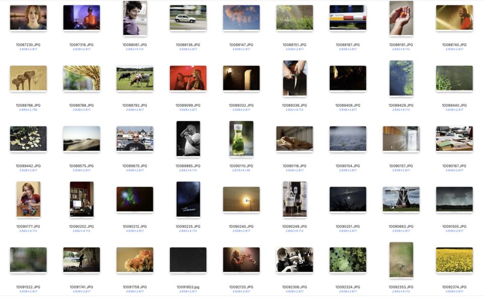 Een deel van de 85 foto's met een 85mm objectief
