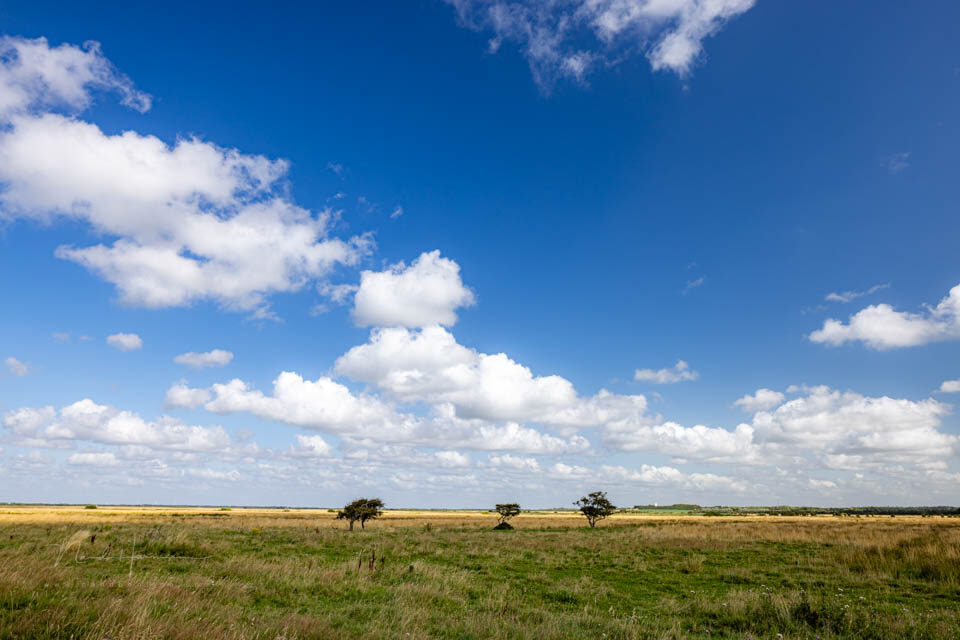 Simpelweg alles in beeld brengen is zelden geslaagd - f/9, 1/200s, 100 ISO @ 24mm Simpelweg alles in beeld brengen is zelden geslaagd - f/9, 1/200s, 100 ISO @ 24mm