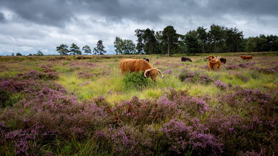 Nando colorgrading of niet 2 - f/11, 1/125s, 400 ISO @ 24mm