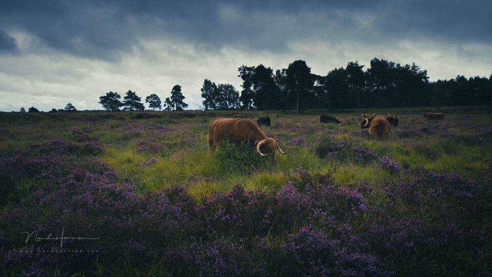 Nando colorgrading of niet 6 - f/11, 1/125s, 400 ISO @ 24mm