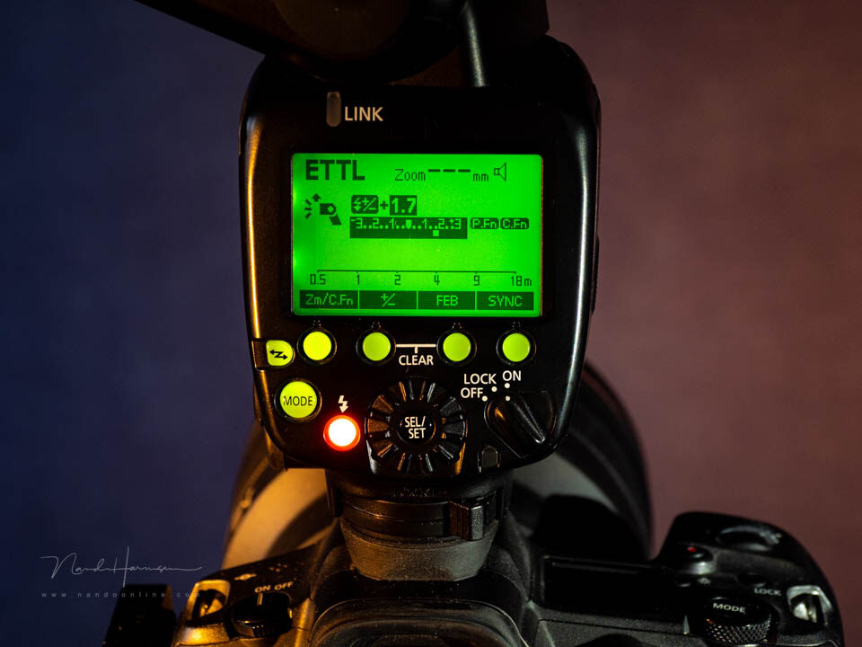 Flitslichtcompensatie is belichtingscompensatie voor het flitslicht - f/5.6, 1/3s, 400 ISO @ 54mm Flitslichtcompensatie is belichtingscompensatie voor het flitslicht - f/5.6, 1/3s, 400 ISO @ 54mm