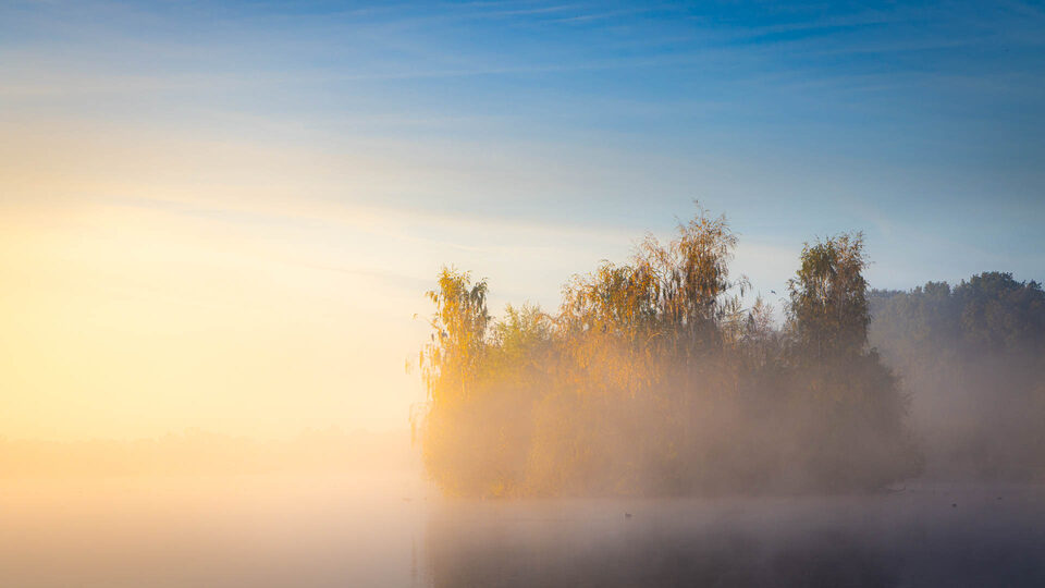 Een mistige ochtend - f/8, 1/400s, 400 ISO @ 80mm
