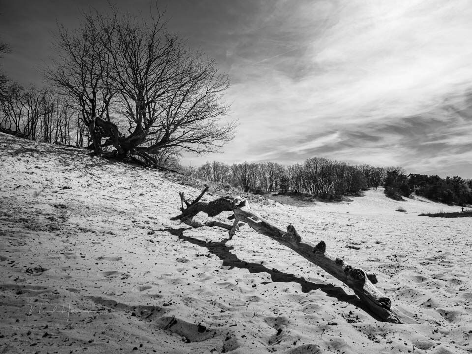 Een onderwerp geeft iets om naar te kijken - f/8, 1/800s, 200 ISO @ 12mm Een onderwerp geeft iets om naar te kijken - f/8, 1/800s, 200 ISO @ 12mm