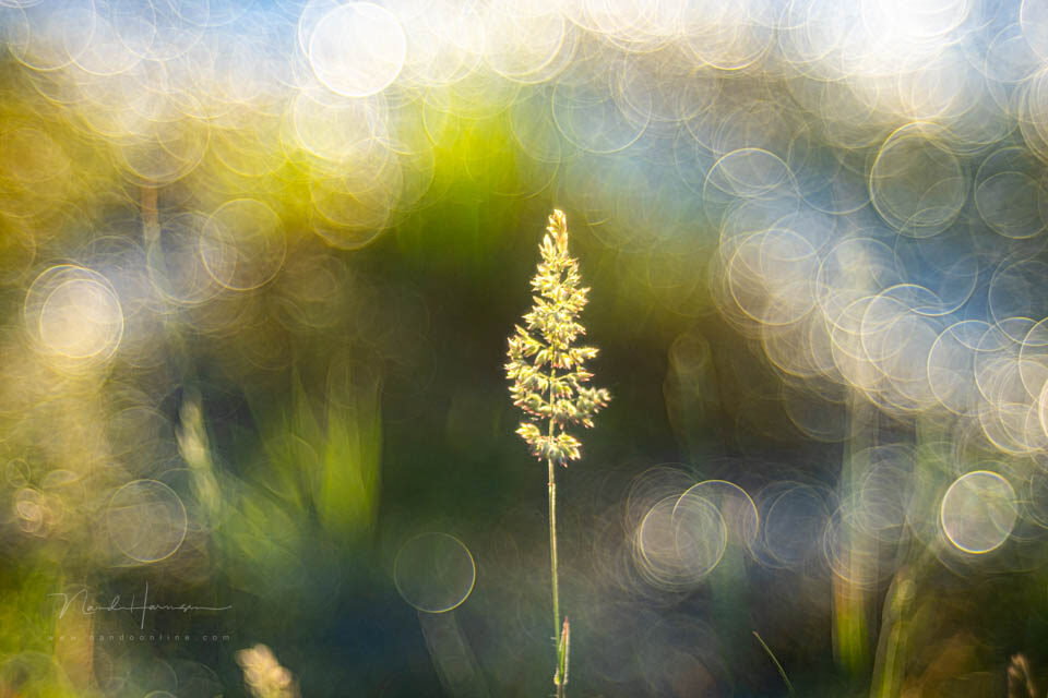 Nando meervoudige belichting inspiratie 12 - 1/250s, 200 ISO @ 100mm Nando meervoudige belichting inspiratie 12 - 1/250s, 200 ISO @ 100mm