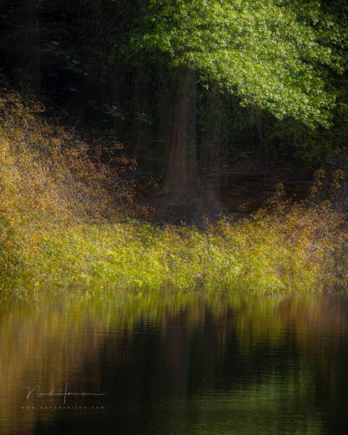 Nando meervoudige belichting inspiratie 8 - f/11, 1/80s, 200 ISO @ 300mm Nando meervoudige belichting inspiratie 8 - f/11, 1/80s, 200 ISO @ 300mm