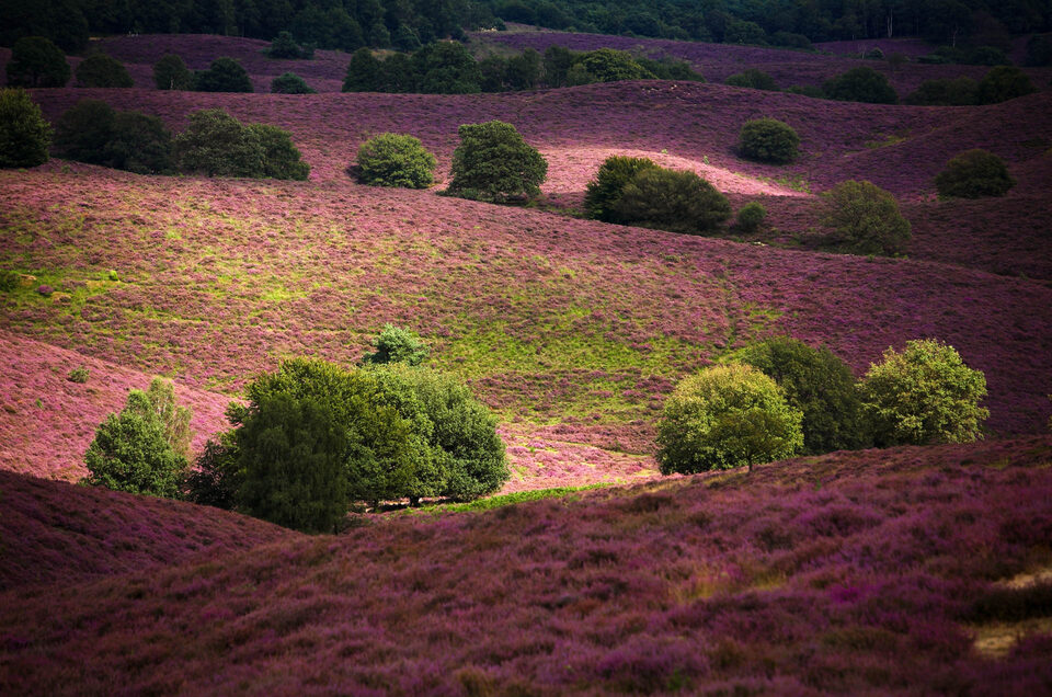 De welbekende Posbank - f/4.5, 1/500s, 100 ISO @ 175mm De welbekende Posbank - f/4.5, 1/500s, 100 ISO @ 175mm