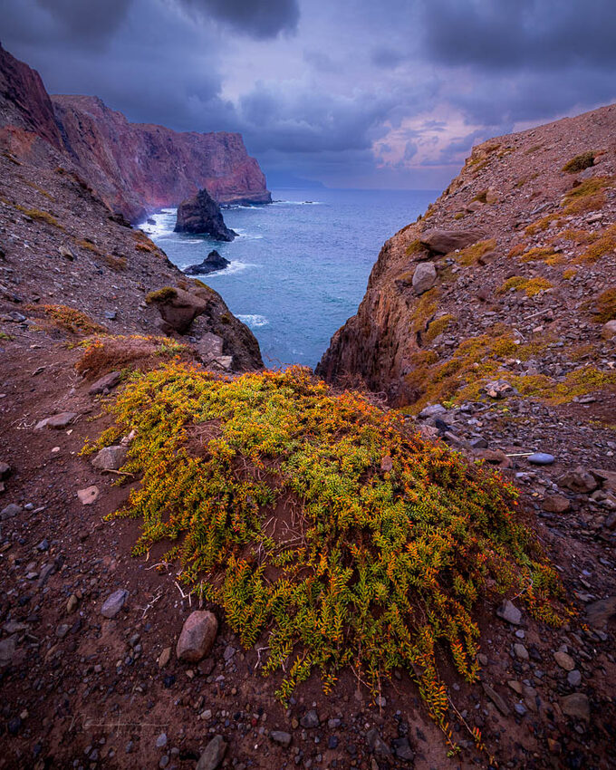 Een voorgrond met de kustlijn van São Lourenço in de achtergrond - f/4, 1/60s, 800 ISO @ 15mm Een voorgrond met de kustlijn van São Lourenço in de achtergrond - f/4, 1/60s, 800 ISO @ 15mm