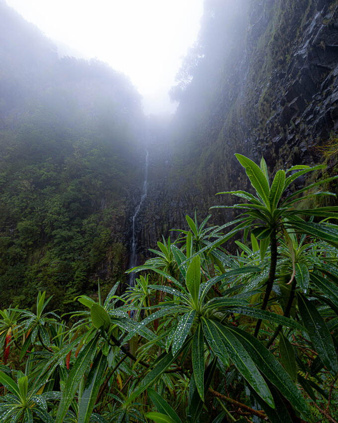 Risco waterval op Madeira. Een focusstack van zeven beelden - f/6.3, 1/200s, 200 ISO @ 15mm