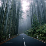 A vertical or horizontal landscape photo - part 1 A vertical or horizontal landscape photo - part 1